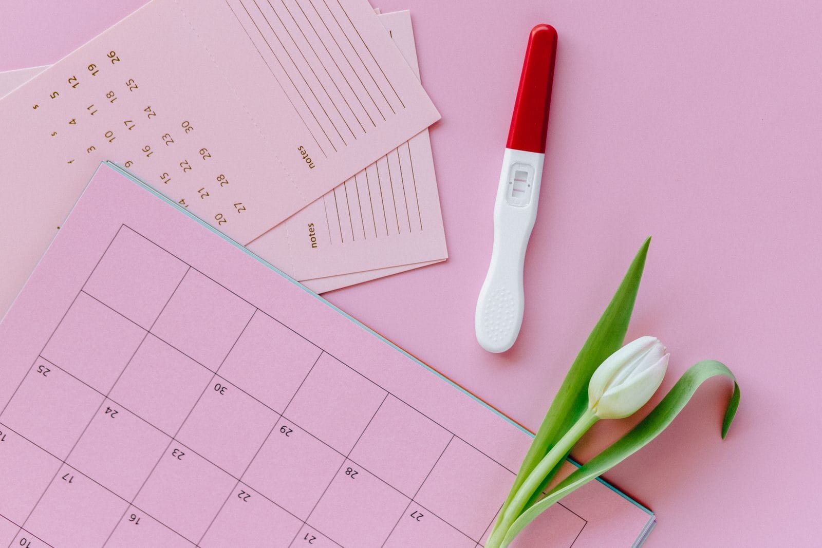 A positive pregnancy test on a calendar with a tulip beside it on a pink background.